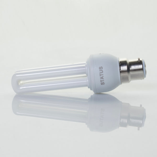 6 Pack Light Bulbs