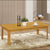 Coffee Table SDI