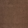 Carpet - Brown